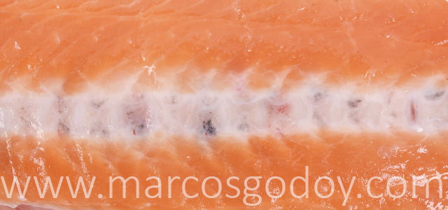 Melanosis vertebral salmon del Atlantico XII
