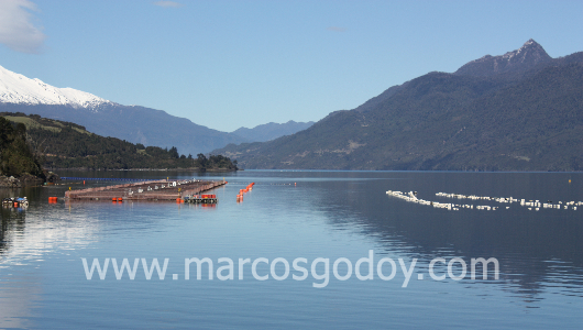 mgodoy_interior2