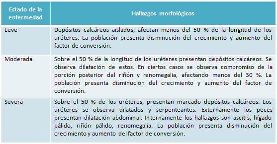 osotomayor_00215