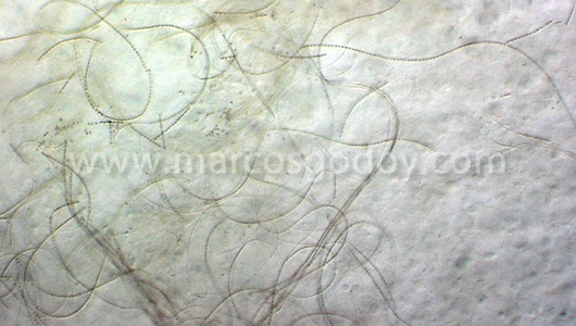 imagen_3inner