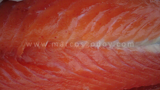 osotomayor_00447