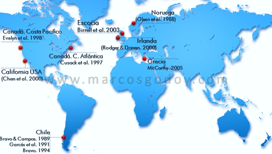 mundial-srsb mundial-srsb