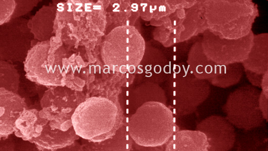 fig21