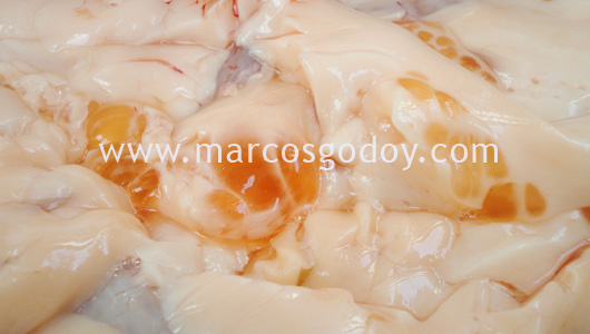 cyst-2 cyst-2