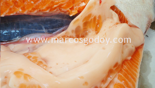 cysts-1 cysts-1