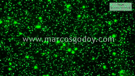 virus-in-the-sea-i