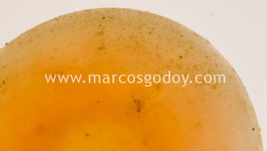 fine-sediment-atlantic-salmon-eye-eggs-vii