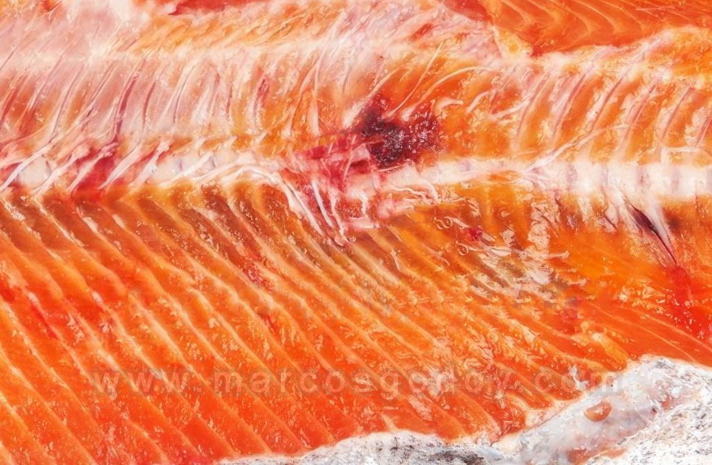 Fractura vertebral espontánea en Salmón coho (Oncorhynchus kisutch) I: Patología macroscópica