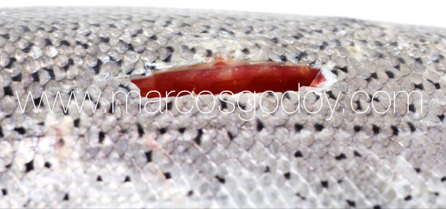 SRS -Skin pathology VI
