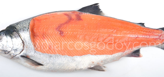 Fractura Salmon coho XII