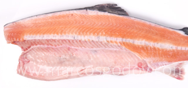 Melanosis vertebral salmon del Atlantico I