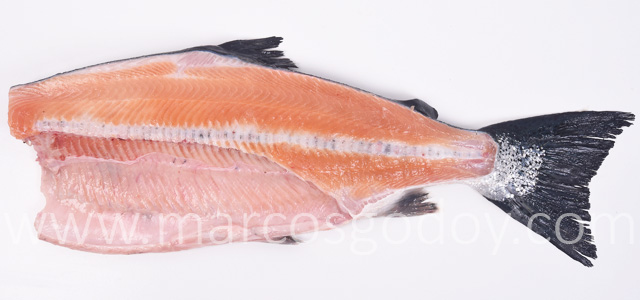 Melanosis vertebral salmon del Atlantico III