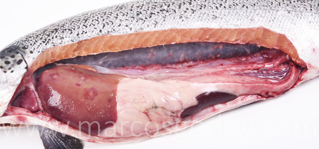 Hepatitis granulomatosa II