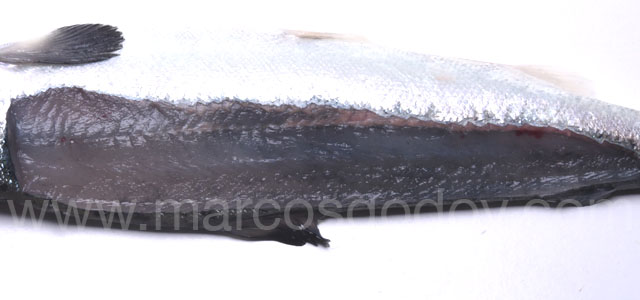 Melanosis difusa smolt II