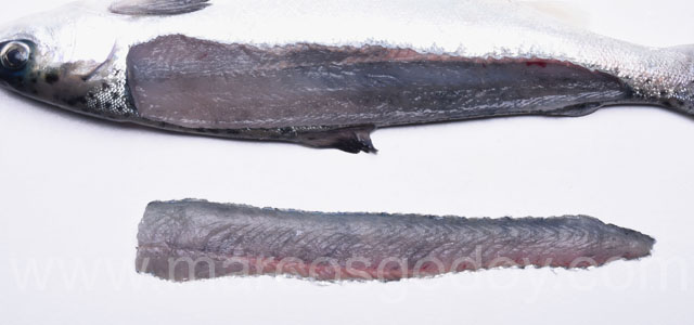 Melanosis difusa smolt III