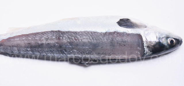 Melanosis difusa smolt IV