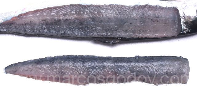 Melanosis difusa smolt VII
