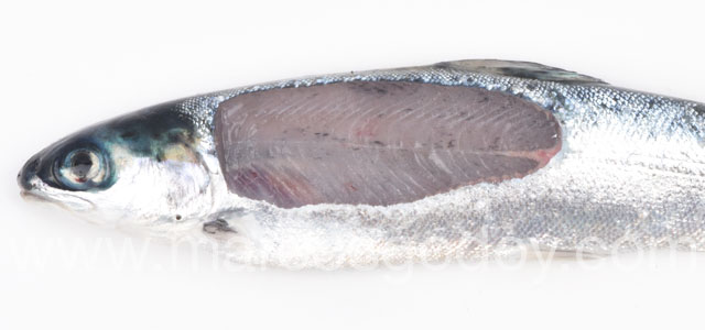 Melanosis difusa smolt XI