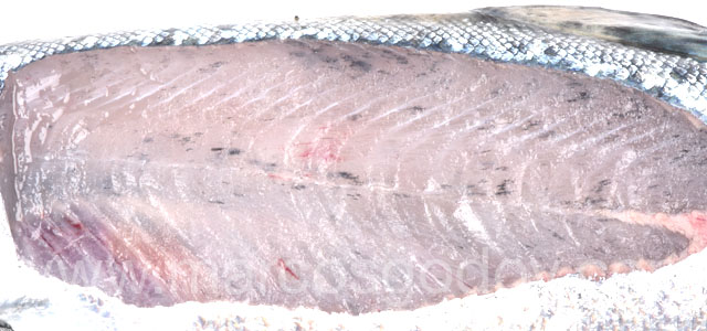 Melanosis difusa smolt XII