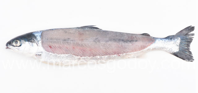 Melanosis difusa smolt XIV