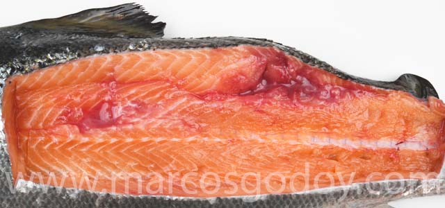 Atlantic salmon muscle necrosis XI