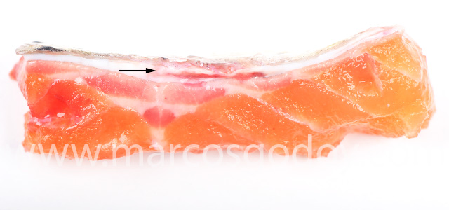 Dermatitis SRS Rainbow trout III
