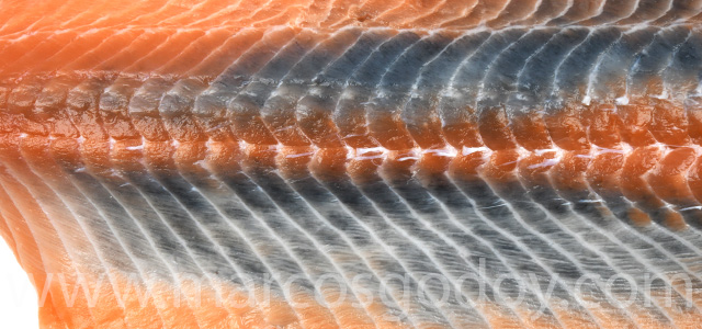 Diffuse melanosis 2023 III