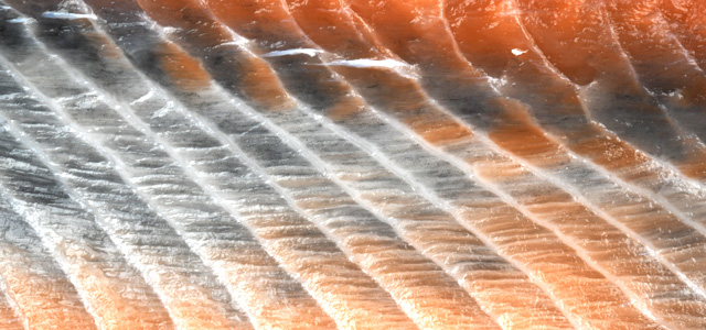 Diffuse melanosis 2023 IX