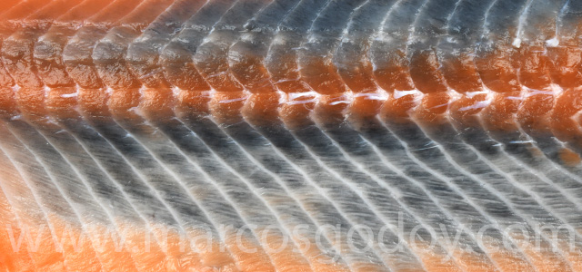Diffuse melanosis 2023 V