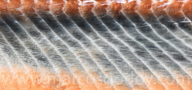 Diffuse melanosis 2023 VI