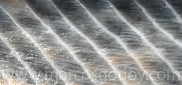 Diffuse melanosis 2023 VII