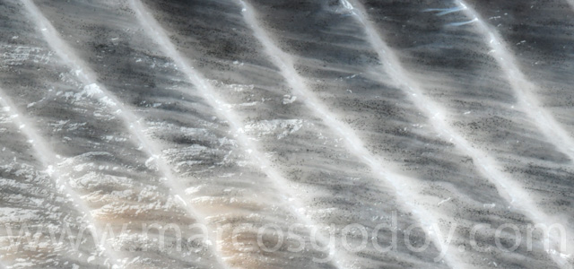 Diffuse melanosis 2023 VIII